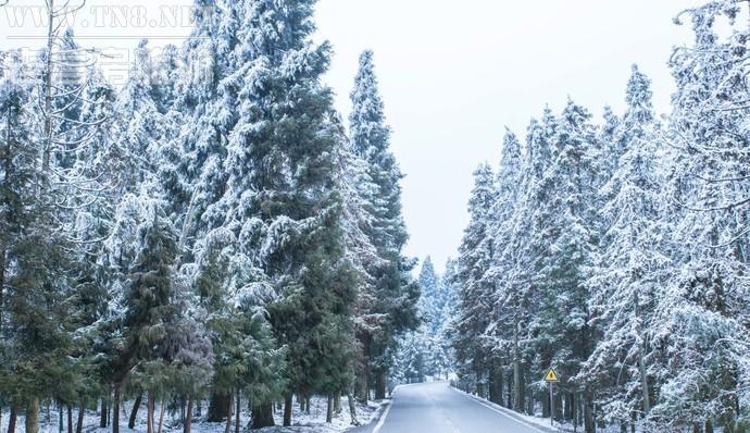 wKgBEFqAha2AR6TQABJ4umHT-Zo12.jpg wKgBEFqAha2AR6TQABJ4umHT-Zo12.jpg