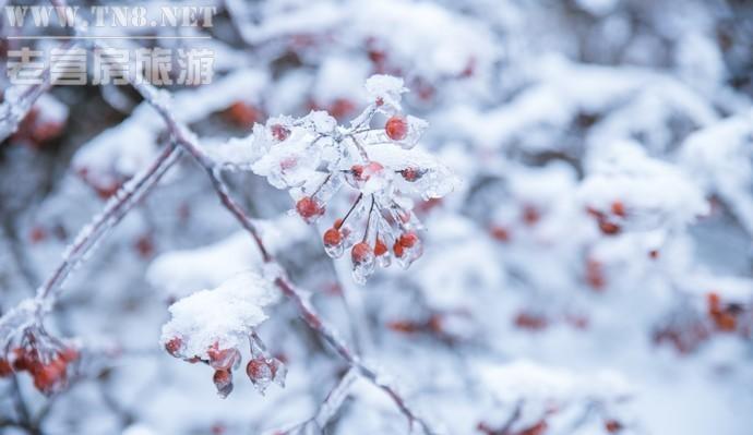 wKgBEFqAiBCAGw-8AAUNKBmNWVM94.jpg wKgBEFqAiBCAGw-8AAUNKBmNWVM94.jpg