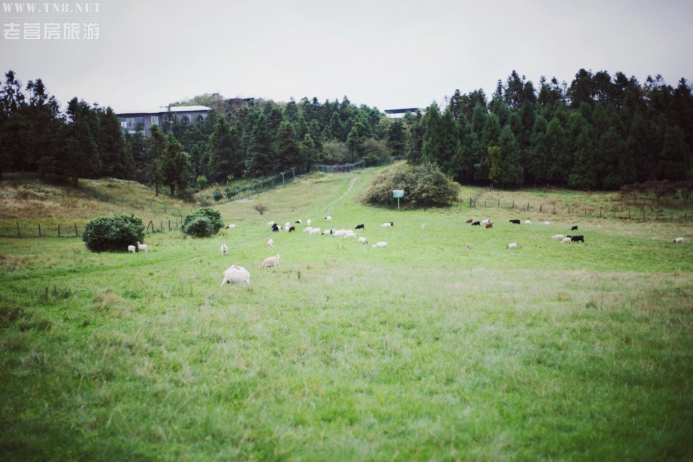 wKgED1vB-7OAYUvnAAn-ei05dJA87.jpg wKgED1vB-7OAYUvnAAn-ei05dJA87.jpg