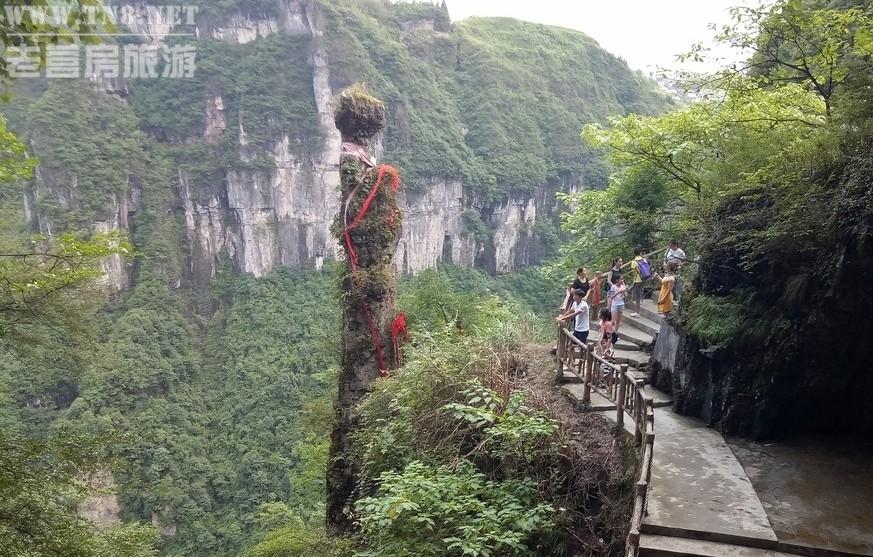 xiannvshi-31819774_1.jpg xiannvshi-31819774_1.jpg